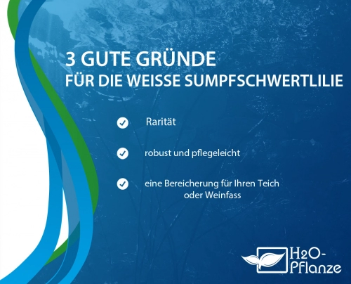 Kaufgründe